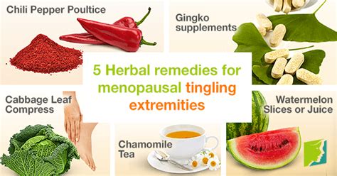 5 Herbal Remedies for Menopausal Tingling Extremities | Menopause Now