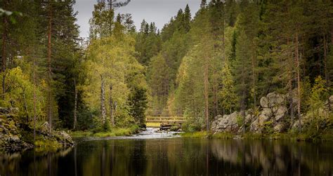 Planning on visiting Finland? Here’s what you can expect! – FINLAND, NATURALLY