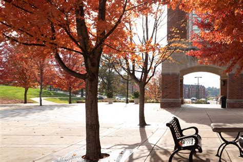 College Campuses with Picture-Perfect Fall Foliage