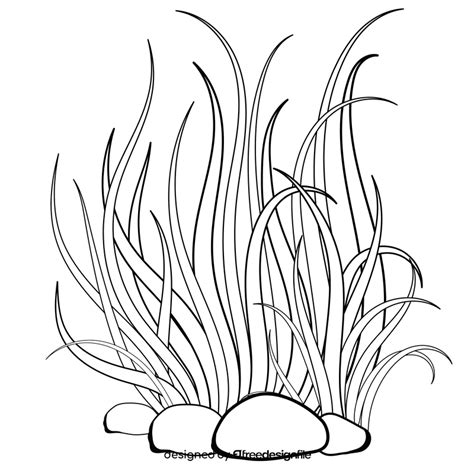 Sea plant black and white clipart free download