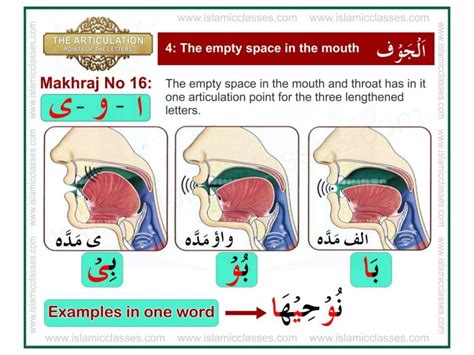 Articulation points-of-the-letters- makhraj