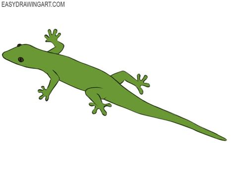 How to Draw a Lizard | Easy Drawing Art | Easy drawings, Cute lizard, Cartoon lizard