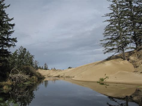 Swerving Excursions: Oregon Dunes National Recreation Area