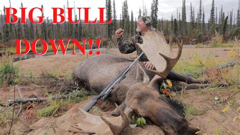 Alaska Moose Hunting Season - YouTube