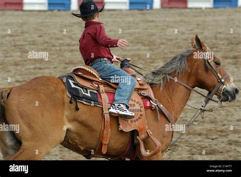 Team Roping, Tie-Down Roping, Calf Roping, Horse, Horses Stock Photo - Alamy