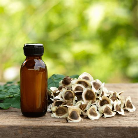 Moringa Seed Oil Skincare Benefits: How to Use, Where to Buy + DIY Recipes - Simple Pure Beauty