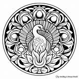Peacock Mandala Coloring Pages  Free & Printable sketch template
