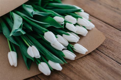 Free Photo: White Tulips on Wooden Table