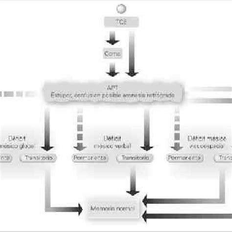 (PDF) [Post-traumatic amnesia syndrome]