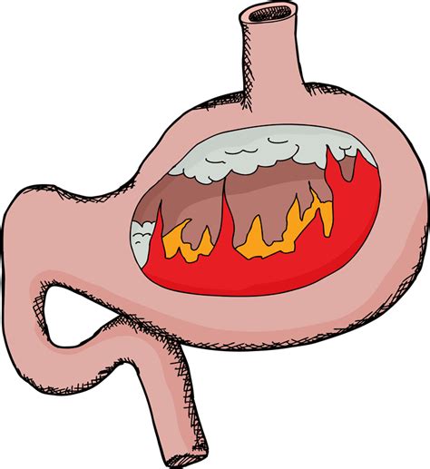 Strategies For Optimal Stomach Acid And Good Gut Function | RedRiver Health & Wellness