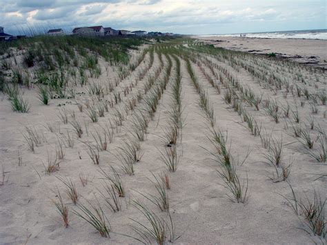 Beach Erosion Solutions - Beach Chair Supplier