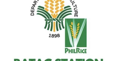 P25-M seed warehouse to rise in Batac, Ilocos Norte | Philippine News ...