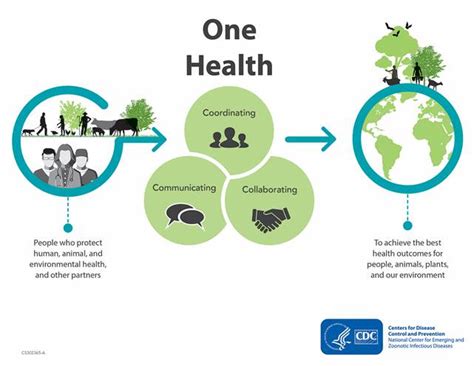 The One Health Initiative