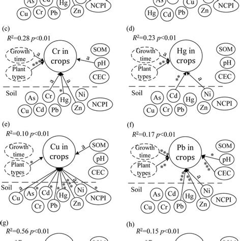 The relationships of soil trace elements, soil physicochemical ...