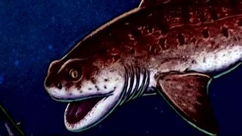 300 Million Year Old Godzilla Shark Fossil Found - Guardian Liberty Voice