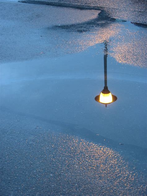 Free picture: street, light, night, rain, puddle, reflection