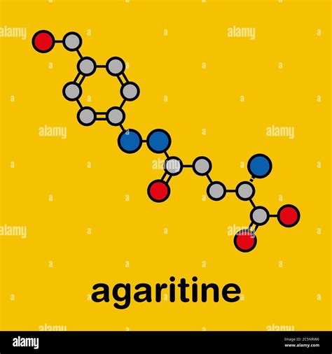 Agaritine mushroom toxin molecule. Stylized skeletal formula (chemical structure): Atoms are ...