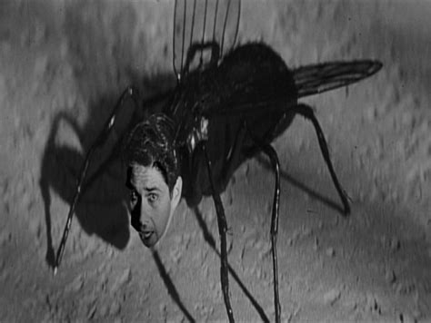 Return of the Fly (1959) - Midnite Reviews