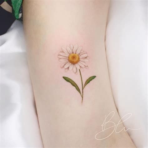 Daisy Flower Tattoo Designs | Best Flower Site