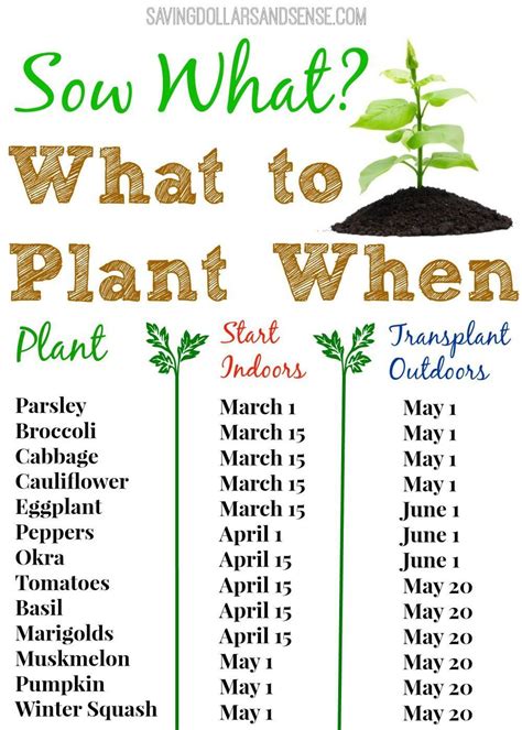 What to Plant When Chart | Free gardening printable chart to help you know the best to plant ...