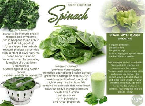 27 Exciting Health Benefits of Spinach - OAWHealth