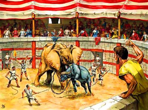 Elephant fighting against a buffalo in a Roman circus | Ancient rome, Ancient warfare, Roman history