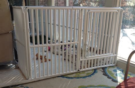 How Big Should A Dog Playpen Be