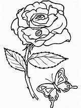 Free Printable Rose Coloring Pages sketch template
