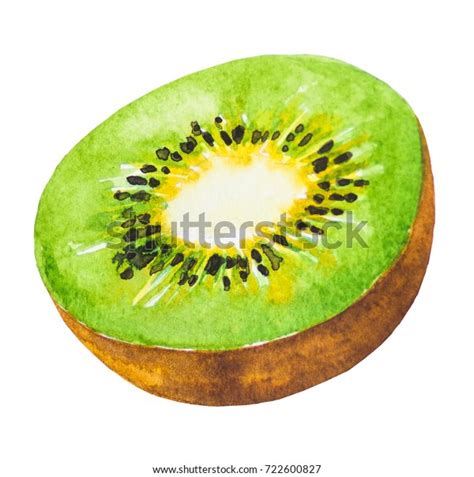 Kiwi Fruit Paintingpainted Watercolor Stock Illustration 722600827