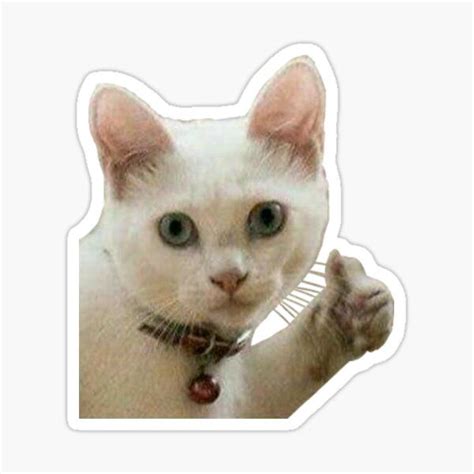 Thumbs Up Cat Stickers for Sale | Cat stickers, Cute laptop stickers, Cool stickers