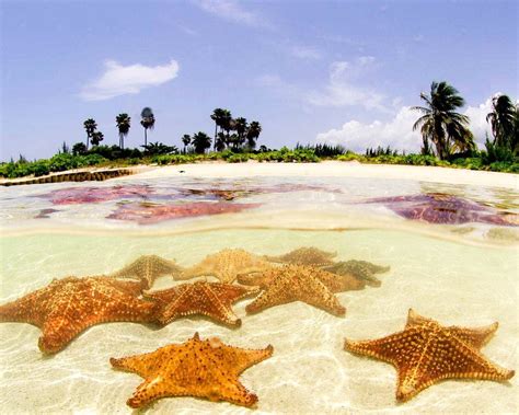 THE 15 BEST Things to Do in Grand Cayman (2025)