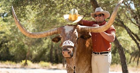 Texas mascot Bevo XIV retires after cancer diagnosis | NCAA.com