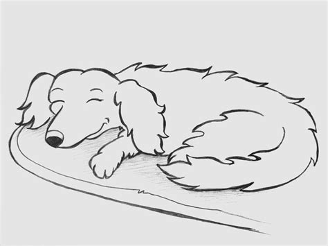 Dog Sleeping Drawing