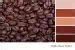 Shades of Brown – Discover the Brown Color Palette