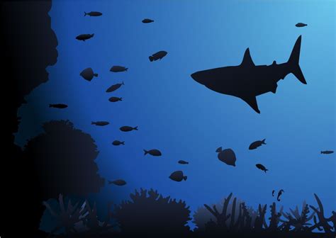 Shark Underwater Background | Underwater background, Underwater, Shark