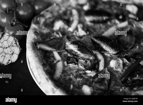 delicious italian pizza with fresh seafood Stock Photo - Alamy