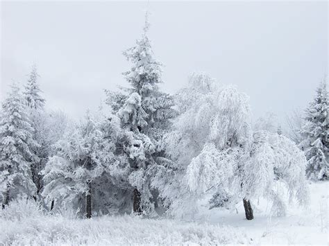 File:Snow Scene at Shipka Pass 3.jpg - Wikipedia, the free encyclopedia