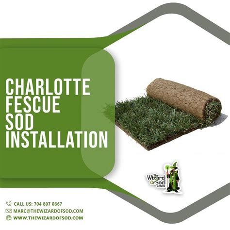 FESCUE SOD INSTALLATION | Fescue sod, Sod installation, Fescue