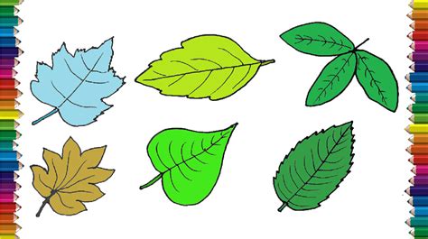 How to draw a leaf step by step. Leaf drawing easy for beginners with ...