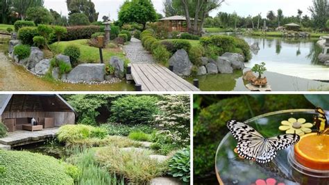 10 Meditation Garden Ideas To Calm The Mind and Delight The Senses