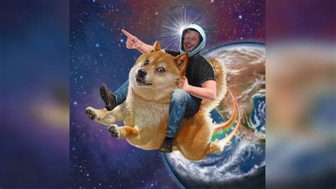 Elon Musk's tweets cause Dogecoin price to spring upwards