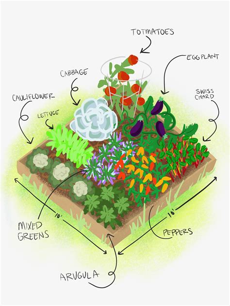 Vegging Out! Planning and Planting a Vegetable Garden - Tonkadale