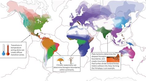 Biogeography Examples