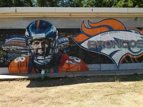 219 best Denver Broncos images on Pinterest