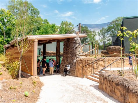 BREC’s Baton Rouge Zoo Opens West Africa-Inspired Exhibit - Baton Rouge ...