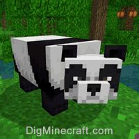 How to Summon a Panda in Minecraft