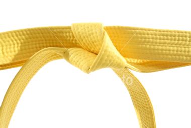 Best Of yellow belt in karate meaning Karate belt order