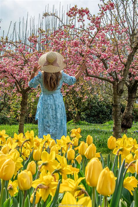 Spring in Belgium; 22 most beautiful places to find blossoms and flowers