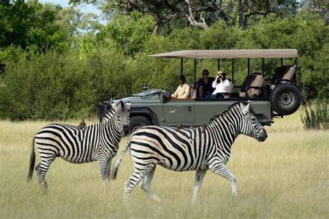 Okavango Delta Safaris & Tours | Safari in Okavango Delta | Discover Africa Safaris