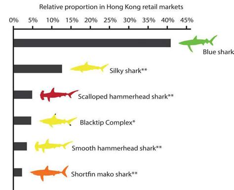 Two-thirds of species in global shark fin trade at risk of extinction